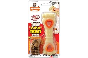 Nylabone Treat Toy for Dogs