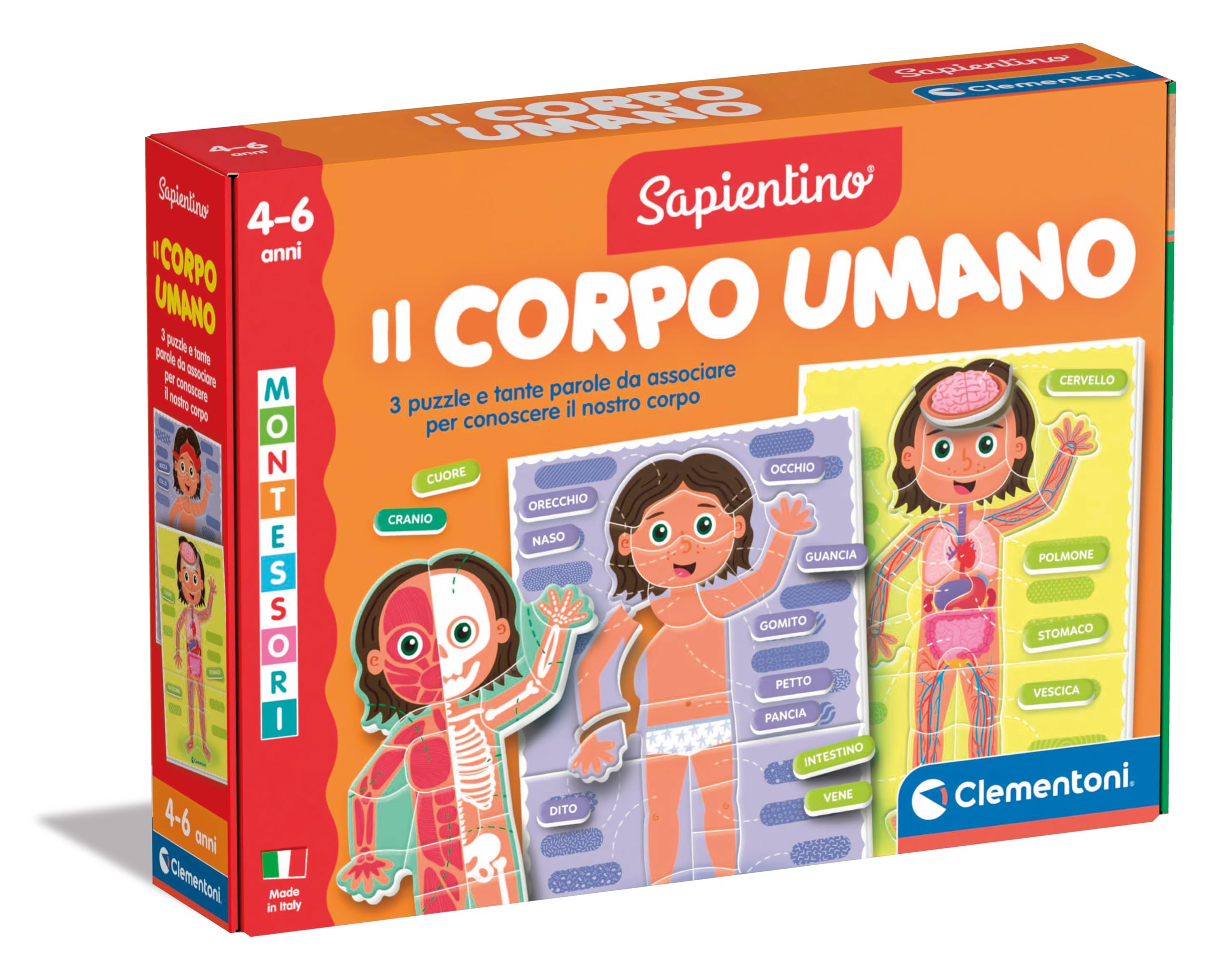 Clementoni Sapientino Montessori - Il Corpo Umano, Gioco Educativo per Bambini 4-​6 Anni, per Scoprire Anatomia e Scheletro, con Cartellini e Schede Illustrate, Made in Italy, Lingua Italiana, 16876