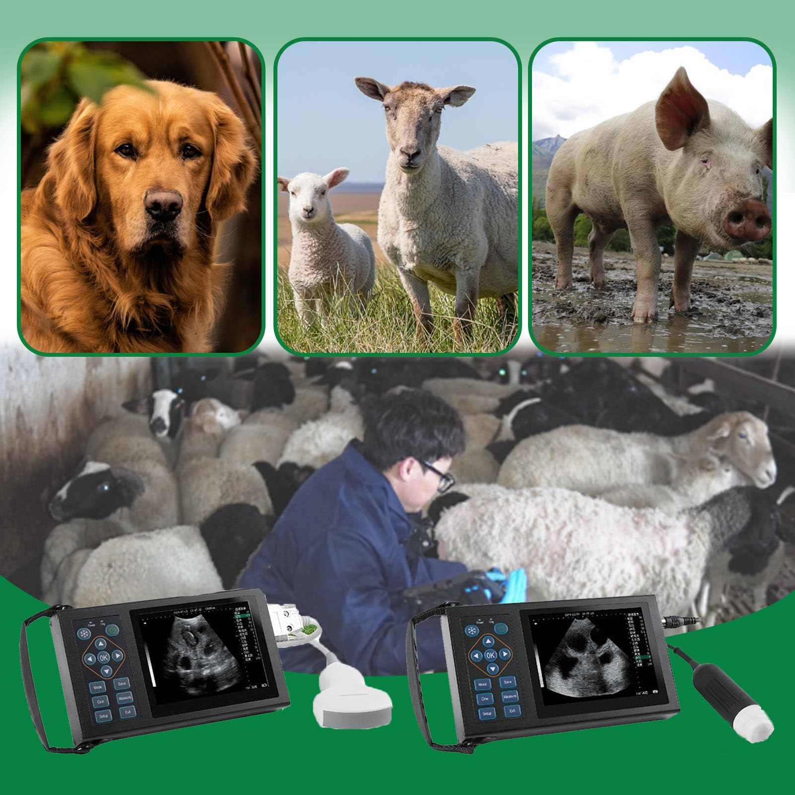 Analizzatore veterinario di ultrasuono con la sonda 3.5/6.5MHz per la diagnostica dell'animale domestico e del bestiame, portatile e facile da usare per l'imaging veterinario accurato