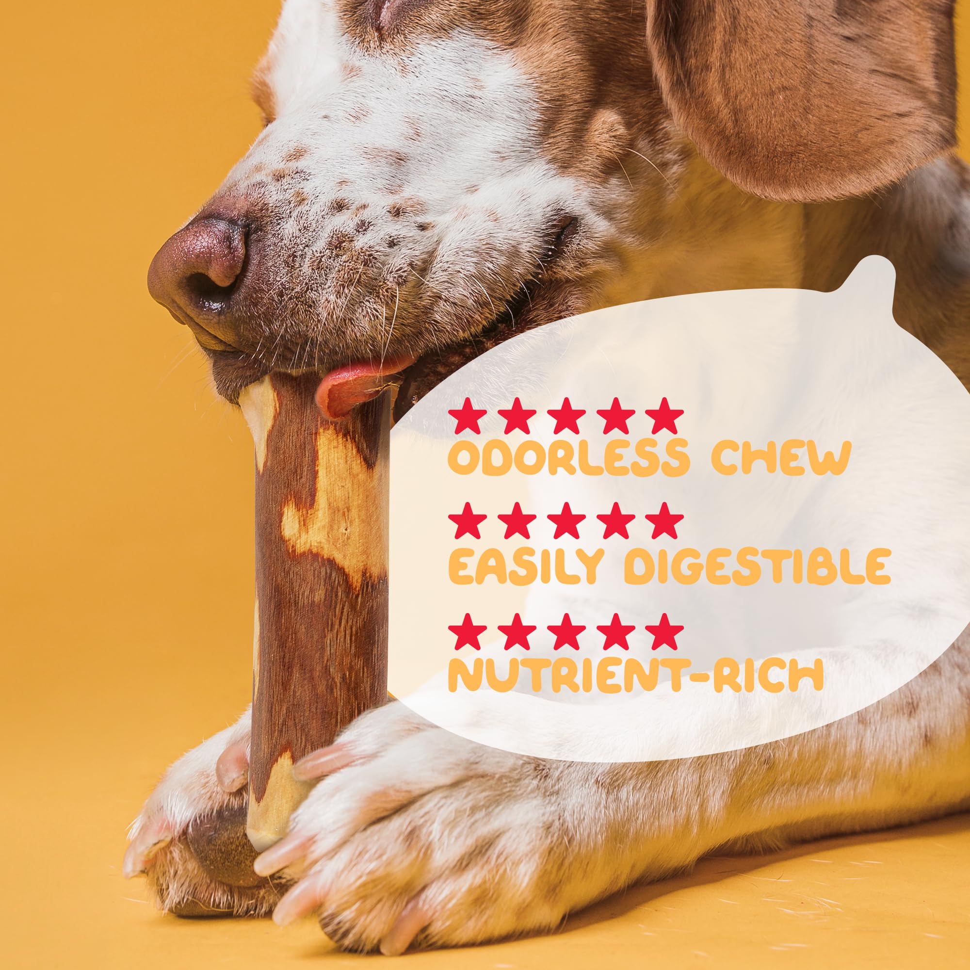 Little Loyals 100% naturalne drewno oliwkowe premium do żucia, zabawki do żucia dla szczeniąt do ząbkowania, zabawki do żucia dla psów, zabawki dla agresywnych żucia|zabawki dla szczeniąt | wytrzymałe