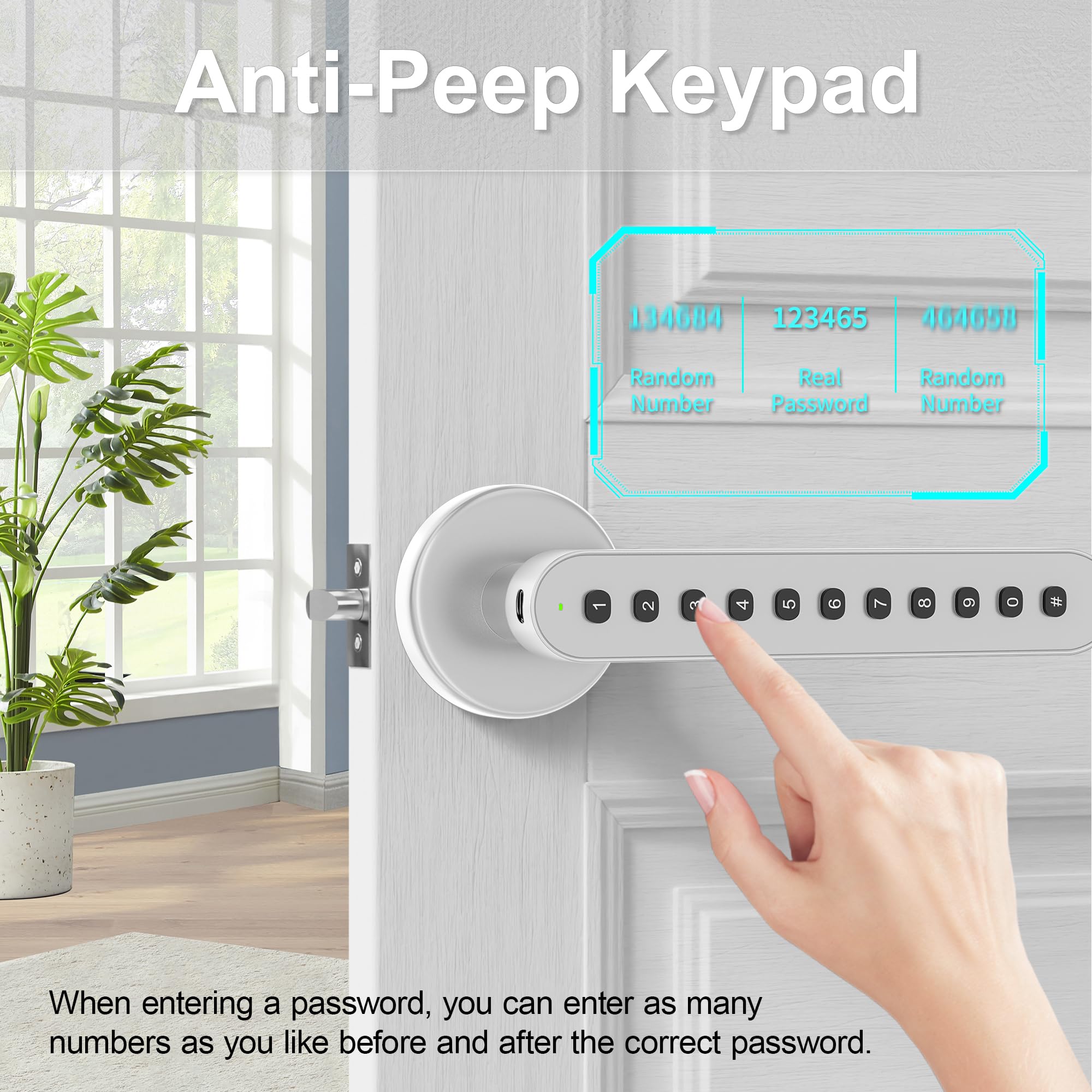 Cerradura inteligente con teclado y manija: cerradura de puerta de