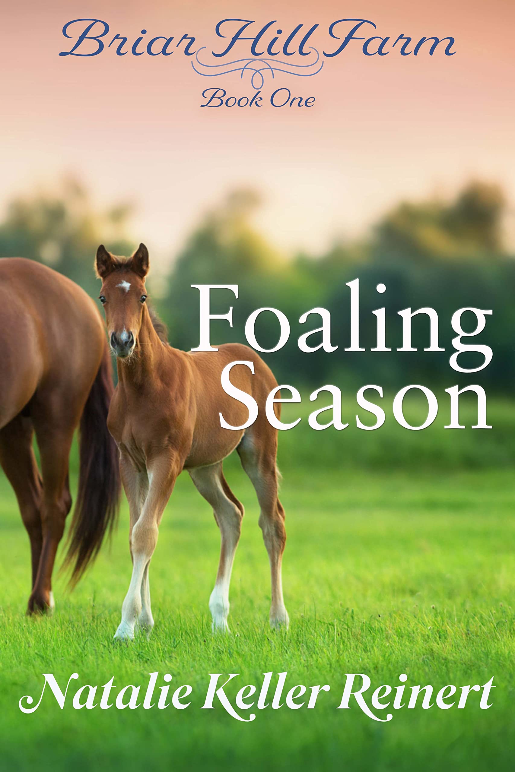 Foaling Season: A Heartwarming Equestrian Women's Fiction Saga (Briar Hill Farm Book 1)