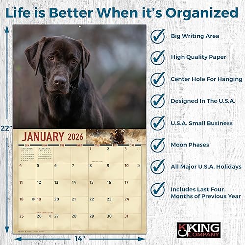 Miniatura 4 de The KING Company-Monster Calendars - Calendario de pared de perro labrador de chocolate 2025, 16 meses, tamaño XL, 14 x 22 pulgadas, el mejor
