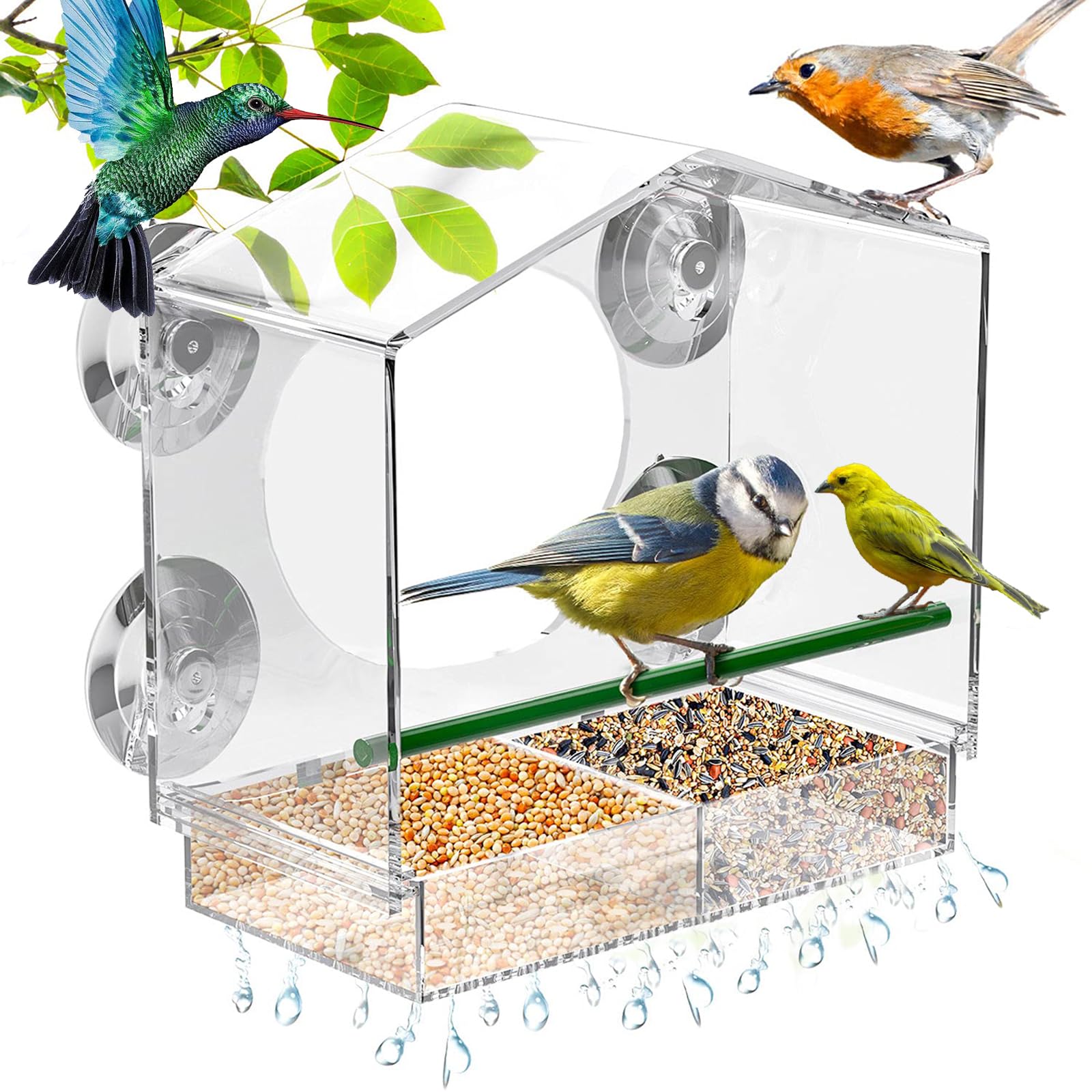 Mangeoire à Oiseaux Transparente Pour Fenêtre - Avec Ventouses - Pour Moineaux Et Oiseaux Sauvages
