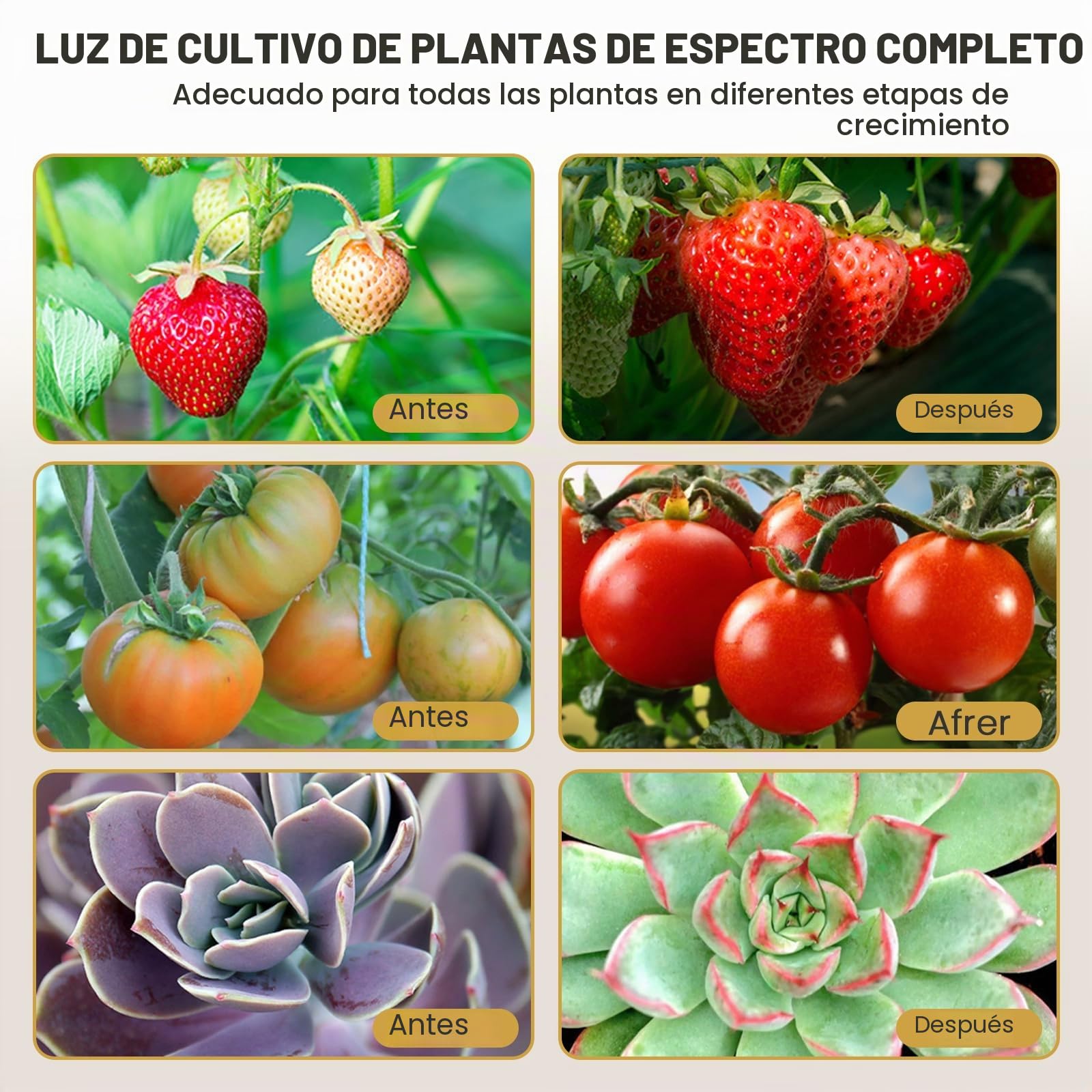 bseah - Luz de cultivo de plantas para plantas de interior, luz de crecimiento de espectro completo, 3 modos y regulable de 10 niveles, temporizador de encendido y apagado automático 3/9/12H