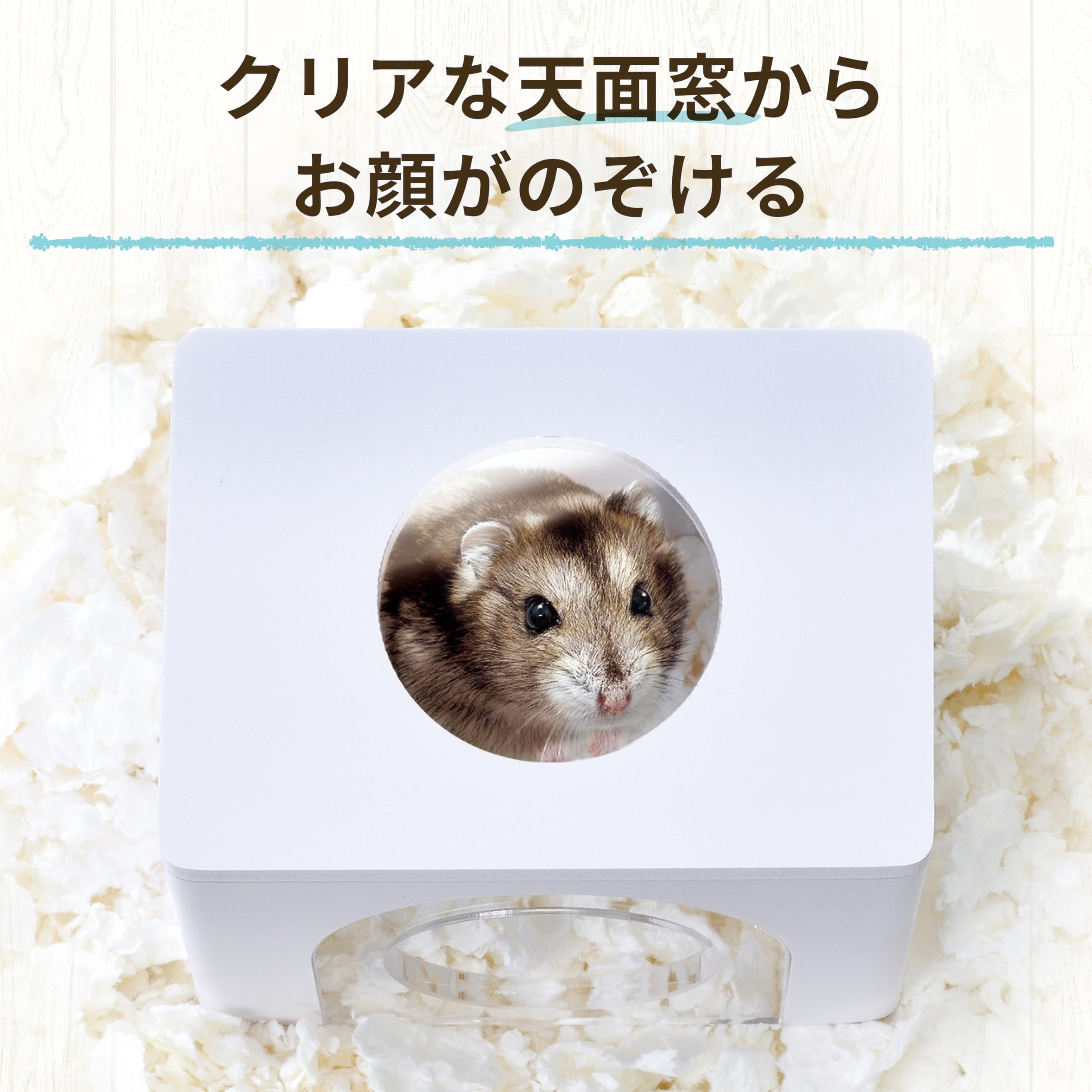 小動物用ハウス〇×△◻︎さま専用 Amazon | ジェックス Harmony ハーモニーハウス 天面窓付き ハムスター