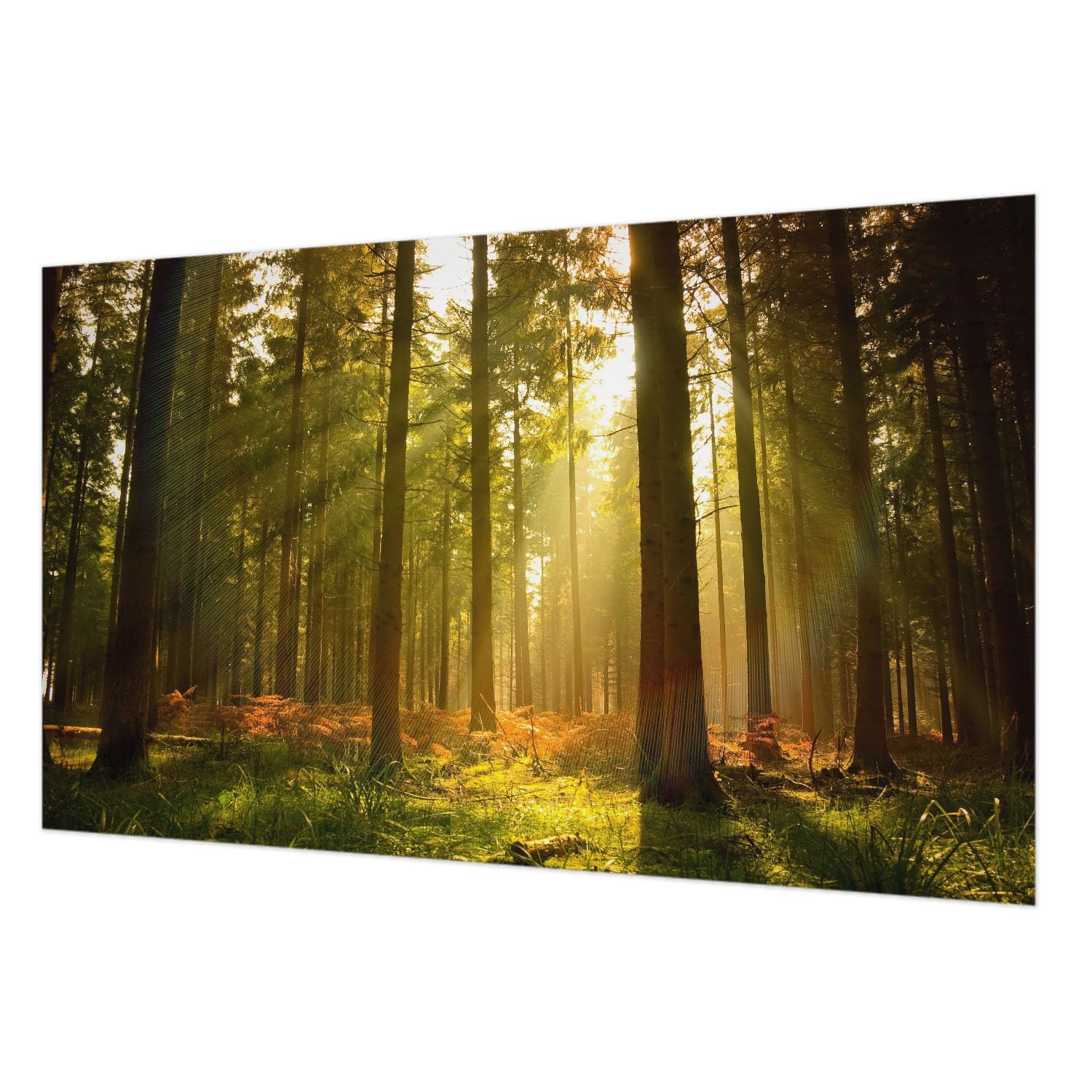 Papier peint intissé chambre motif forêt pour ambiance nature zen