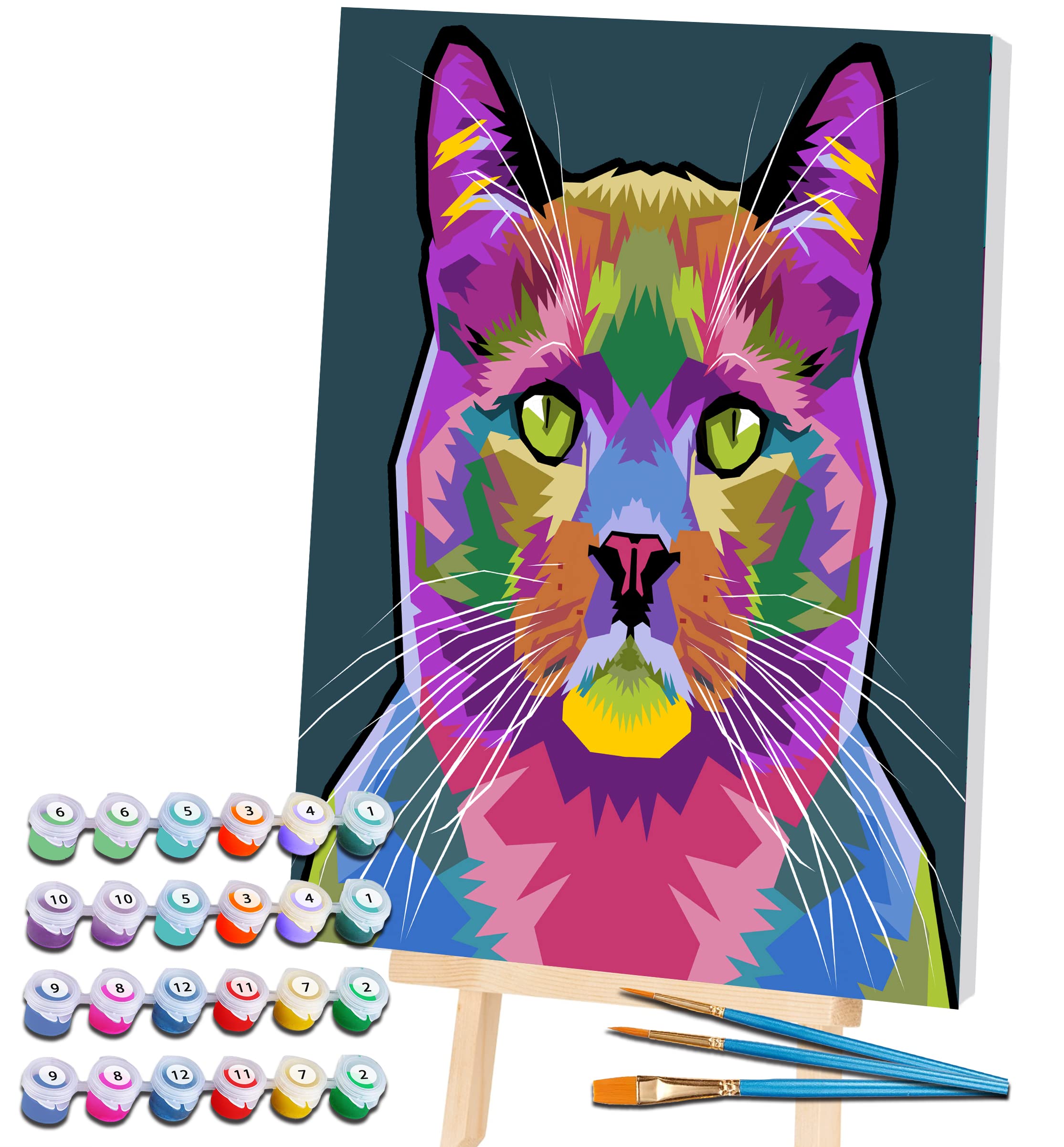 Splat Planet Cat Pets Painting By Numbers Framed, Fluorescent Neon Paint, Colouring By Numbers, Painting For Wall Art, Paint By Number Kits On Canvas For Adults, Kids. 30X40cms