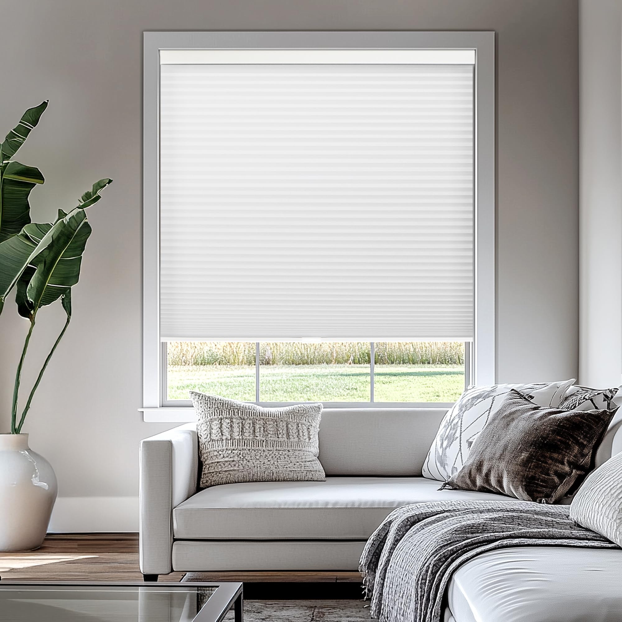 CHICOLOGY Cellular Shades, Window Blinds Cordless, Blinds for Windows, Window Shades for Home, Window Coverings, Cellular Blinds, Door Blinds, Morning Mist, 38"W X 64"H