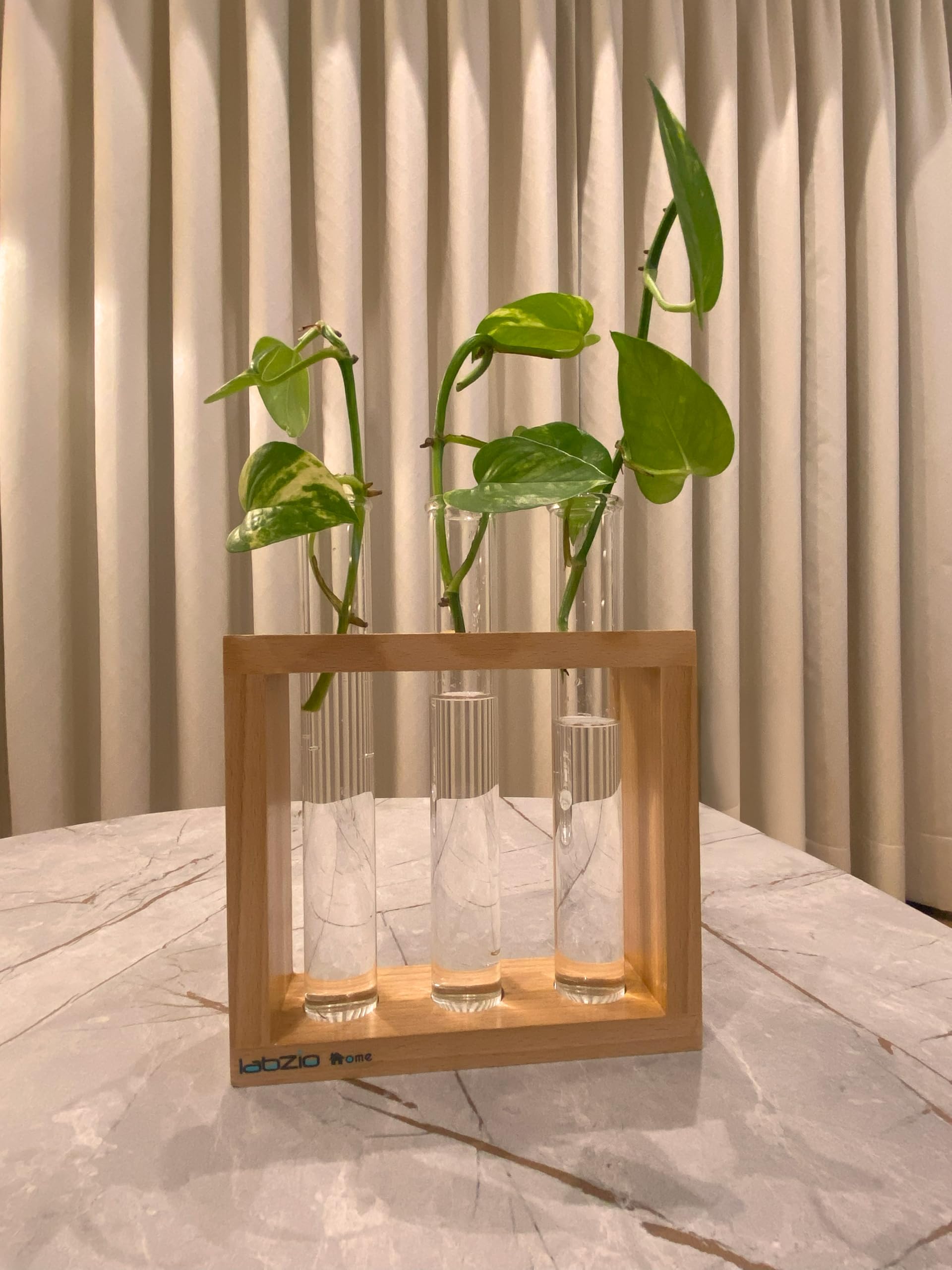 LABZIO Wooden Flower Vase – Handcrafted Decorative Stand with 3 Borosilicate Glass Test Tubes – Elegant Diwali Home & Office Decor, Festive Floral Display, Pooja Room & Wedding Gift 1