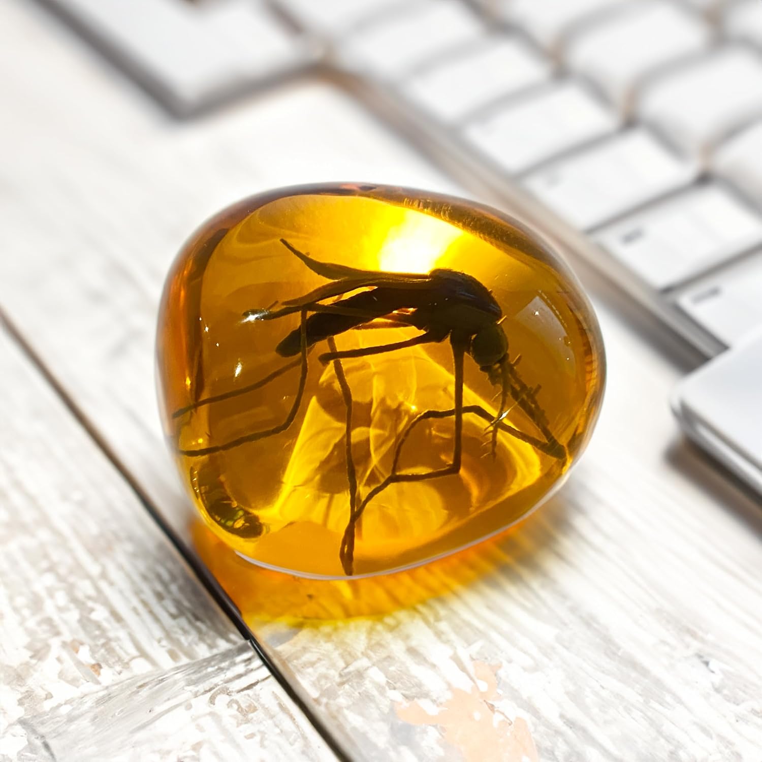 VEOJEIN Mosquito in Amber Fossil Replica Light Paperweight – DNA's Ancient Window – Dinosaur Era Relic – Premium Resin Artifact – Perfect for History & Paleontology Enthusiasts