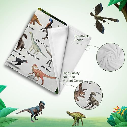 Miniatura 4 de Manta personalizada de dinosaurio para niños, mantas de regalo de dinosaurios jurásicos para niños, manta personalizada con nombre, manta de