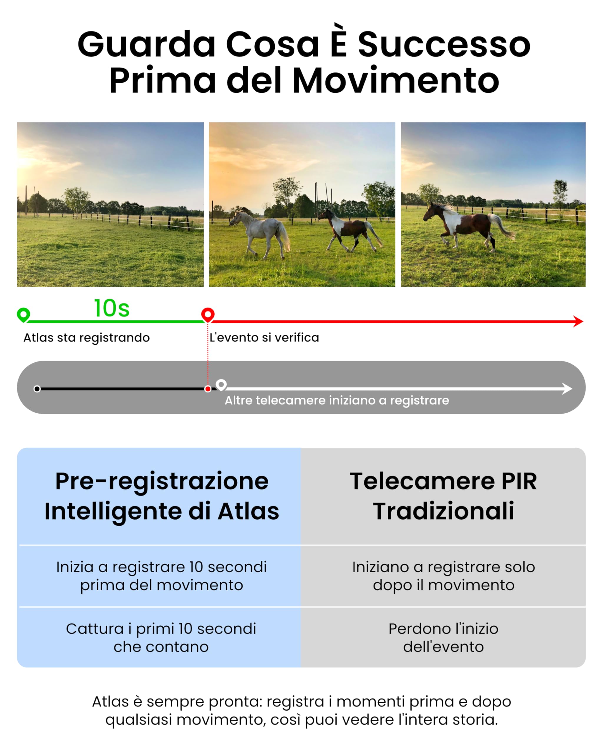 Reolink 2K 360° PT Telecamera con SIM 4G da Esterno con Pannello Solare 12W | Batteria 20000mAh, Visione Notturna Color 4MP, Rilevamento Persone/Veicoli/Animali, Auto Tracking, 24/7, Altas Go PT