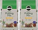 Miracle-Gro Indoor Potting Mix, Blended for a Variety of Houseplants, Feeds for up to 6 Months, 16 qt., 2-Pack