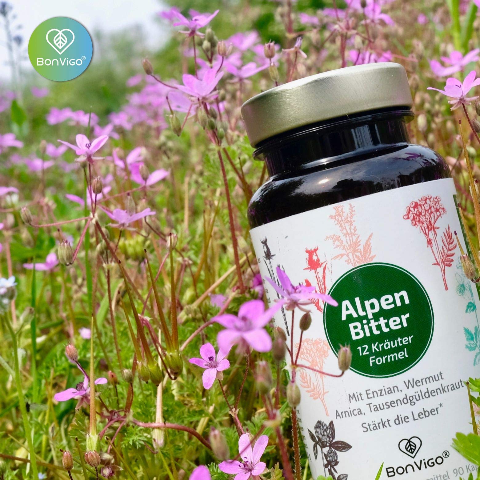 AlpenBitter 3 Monate - 13 Kräuter Bitterstoffe Formel mit Mariendistel, Enzian, Wermut & Löwenzahn – Cholin unterstützt Leberfunktion & Fettstoffwechsel – Nach altem Klosterrezept (3)