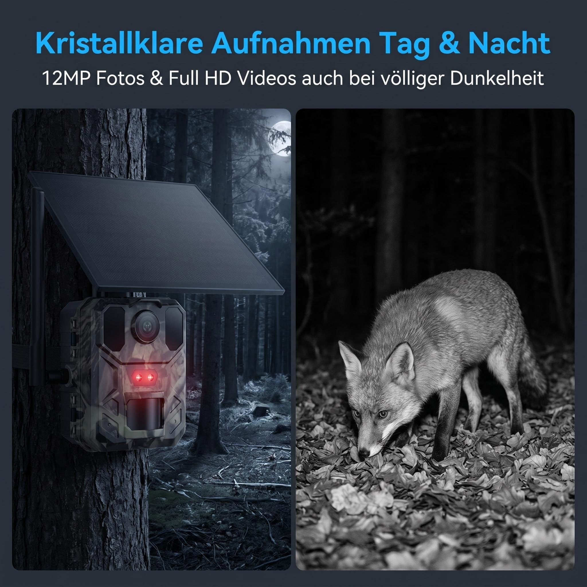 Wildkamera 4G LTE mit SIM-Karte, Doppelobjektiv, Live-Übertragung per App, 4K Video bis 120MP interpoliert, IP65 wasserdicht Außenkamera mit Infrarot-Nachtsicht & Bewegungsmelder