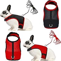 Vista 4 de SATINIOR Arnés de conejo con correa, lindo chaleco de malla transpirable con hebilla ajustable para gatitos, cachorros, mascotas pequeñas