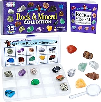 DANCING BEAR -15 Pc Rock & Mineral Collection with Collector Box/Display Case, ID Sheet, Rock Book, Magnifying Glass, Beginner Starter Set, Kids' Gemstone Crystal Kit, STEM Geology Science Education