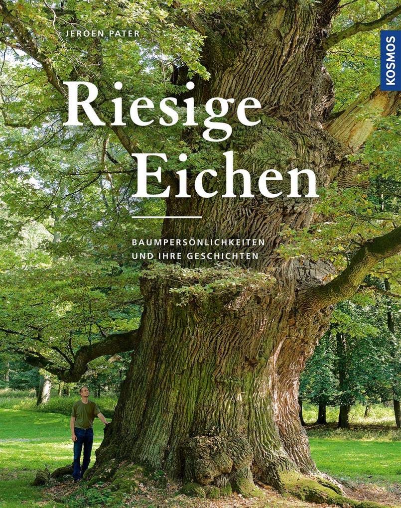 Riesige Eichen: Baumpersönlichkeiten und ihre Geschichten