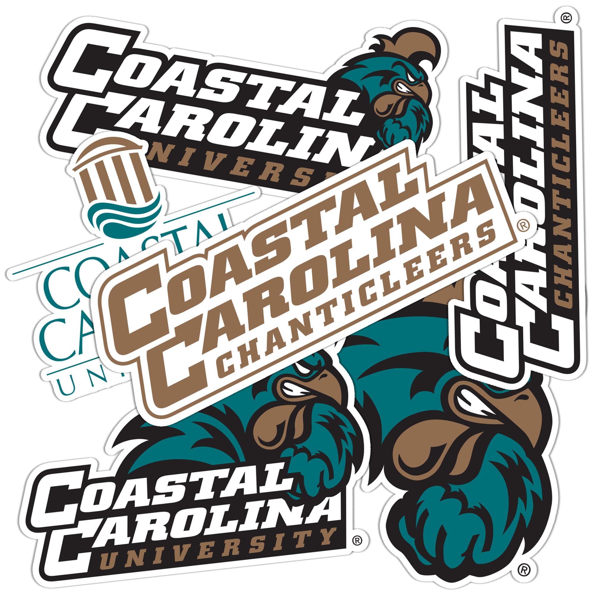 Desert Cactus Coastal Carolina University Sticker Chanticleers CCU Vinyl Decals Laptop Water Bottle Car T2 (Type 2-2)