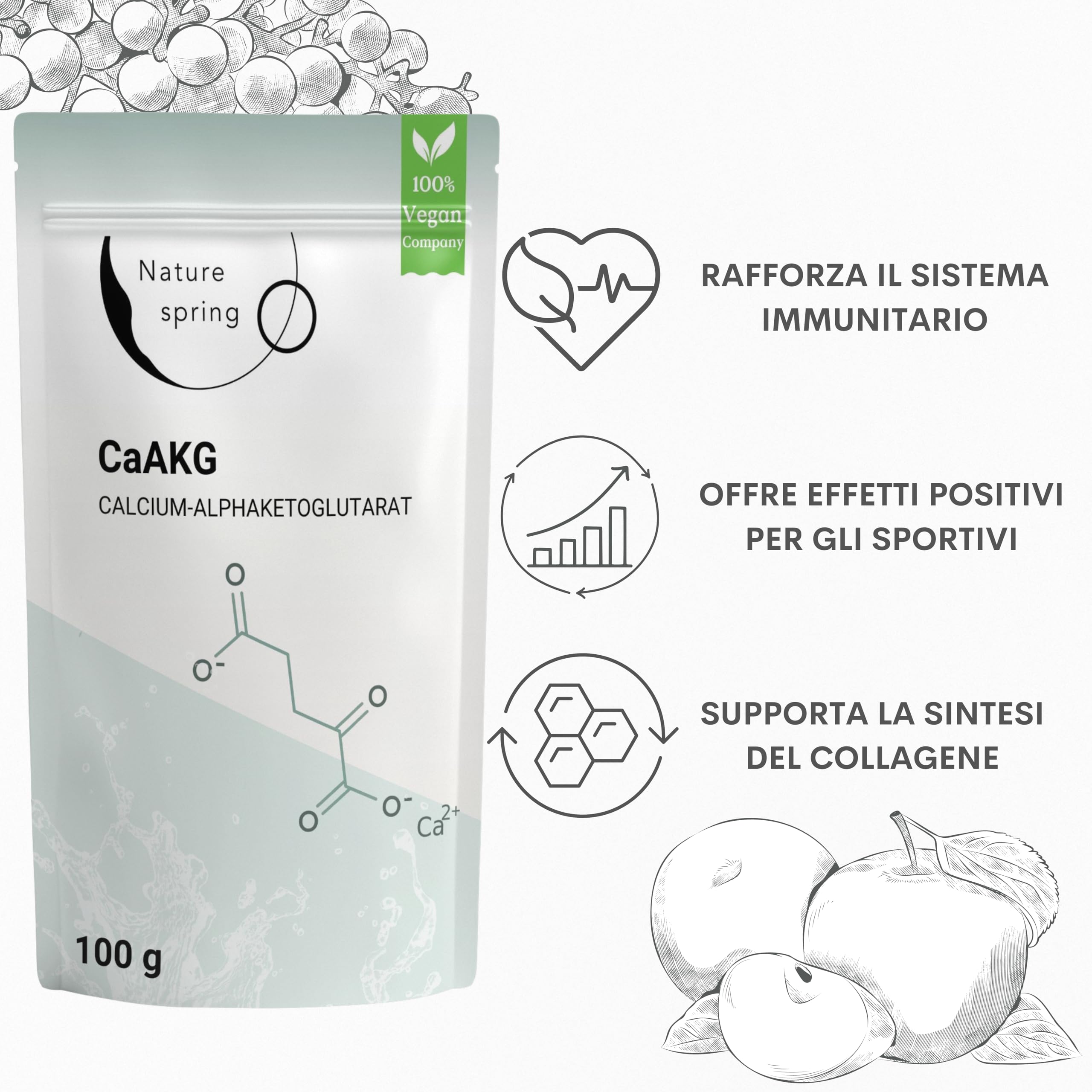 CaAKG Polvere altamente dosato | Pacco da 100 grammi +3,3 mesi | Premium vegano di calcio-alphachetoglutarato | 1000 mg di calcioakg per porzione | Testato in laboratorio in Germania