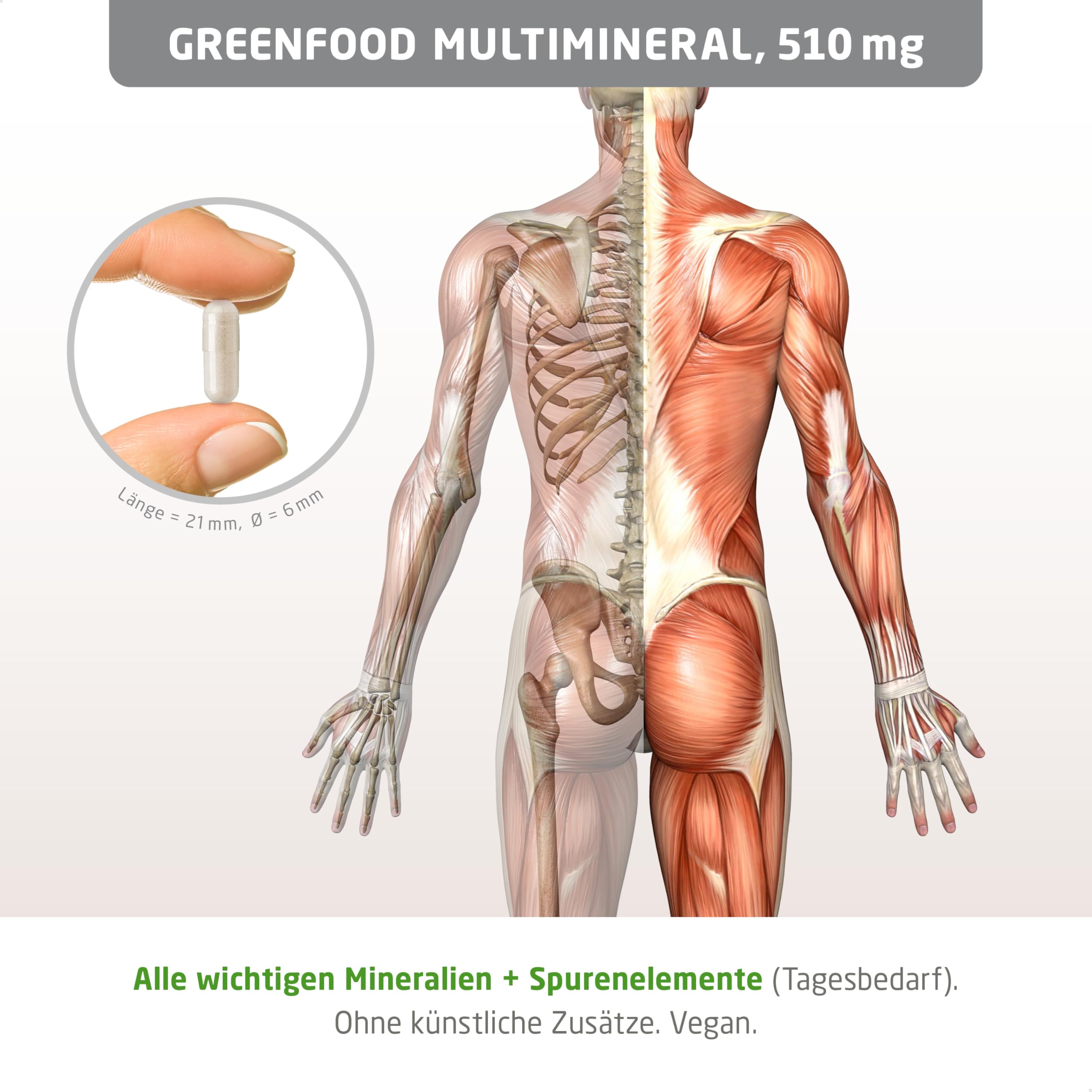 Greenfood Multimineral, hochdosiert, 510mg - 120 Kapseln, vegan. Mineralstoff Komplex & Spurenelemente - Magnesium, Calcium, Zink, Selen & Jod - für Knochen, Haare, Nägel & Nerven. Von Greenfood.