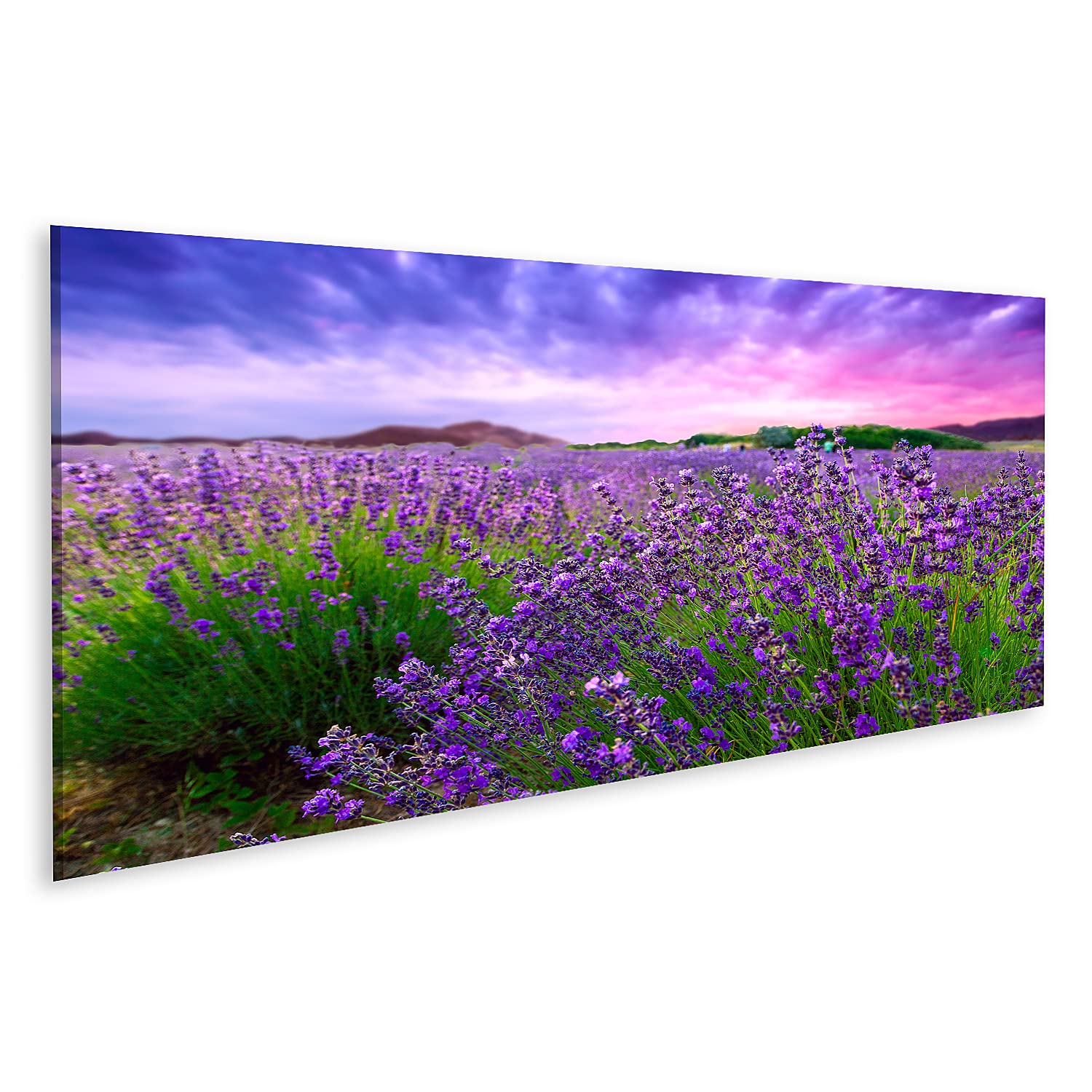 Prime Tableau sur toile Motif champs de lavande, buissons de Provence