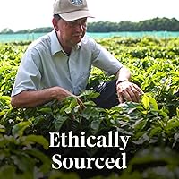 Vista 8 de Starbucks Cápsulas de café K-Cup, café tostado medio para cafeteras Keurig, mezcla de otoño, 100% arábica, edición limitada, 6 cajas