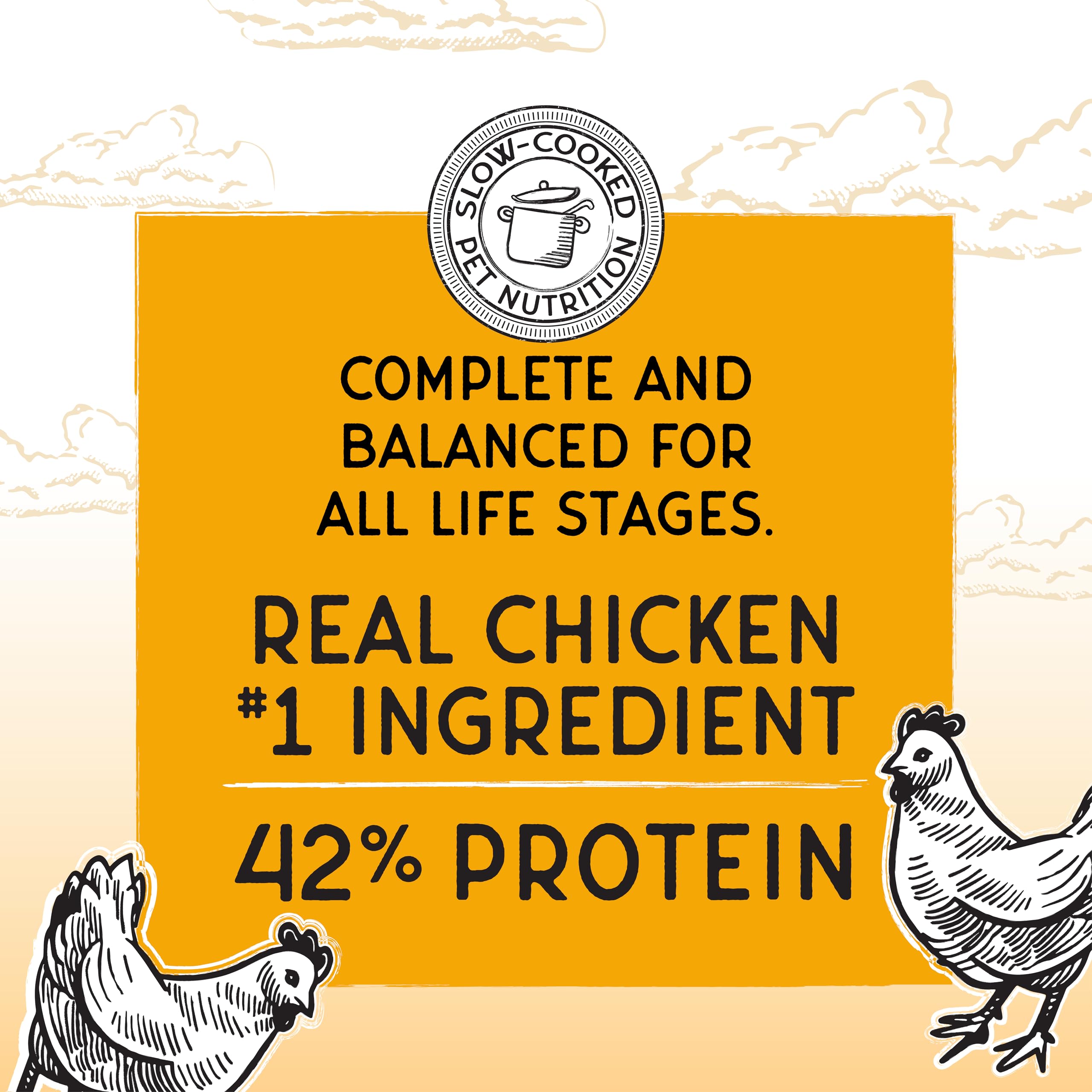 Blackwood Bounty Dry Cat Food, Chicken & Turkey Recipe for All Life Stages, 2 Pound Bag, High Protein, Grain Free