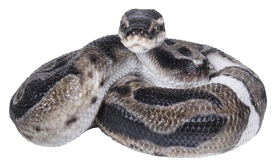 Amazon.com : Hi-Line Gift 87680-B Regius Ball Python Statue