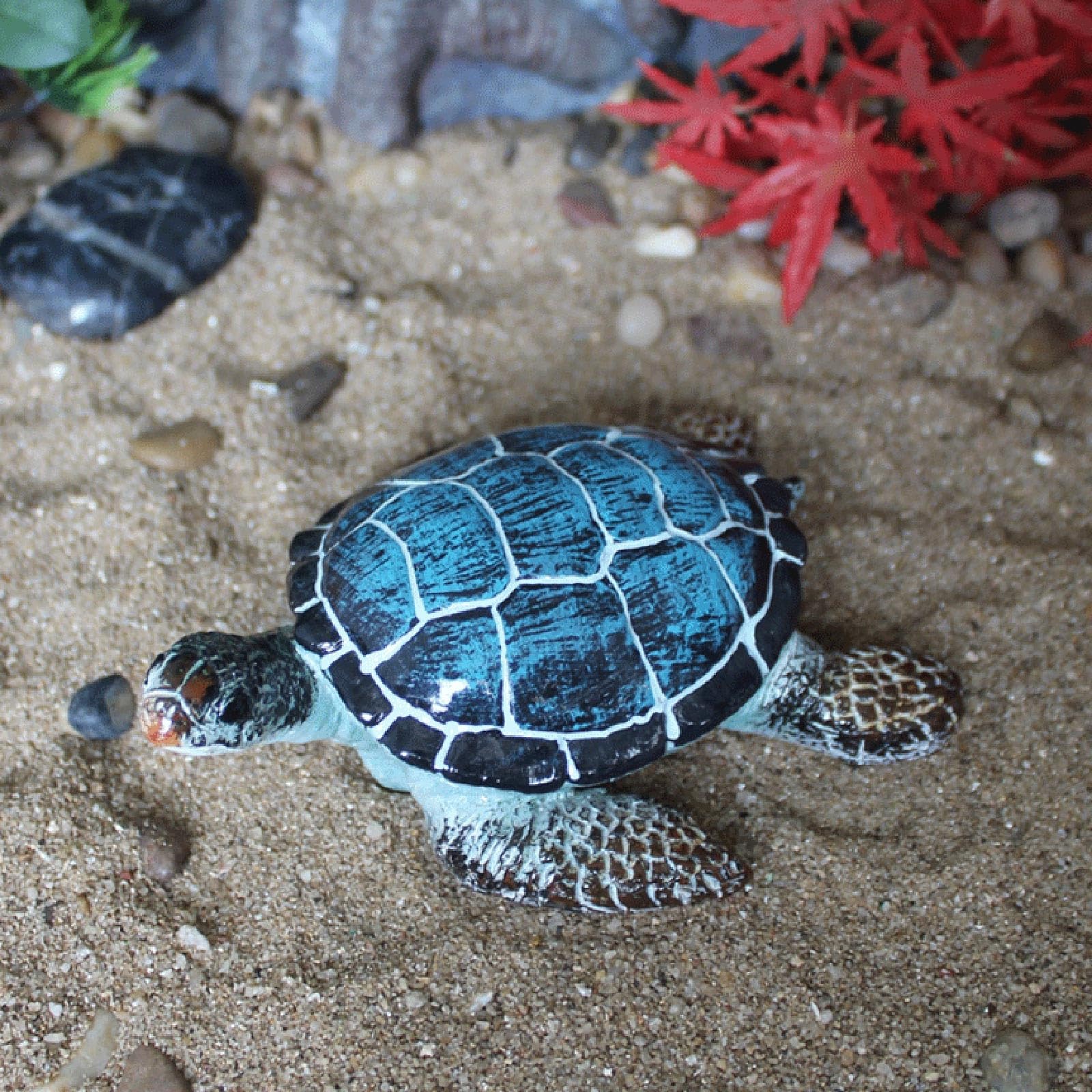 Beautiful Sea Turtles Great Barrier Reef Green Sea Turtle Population