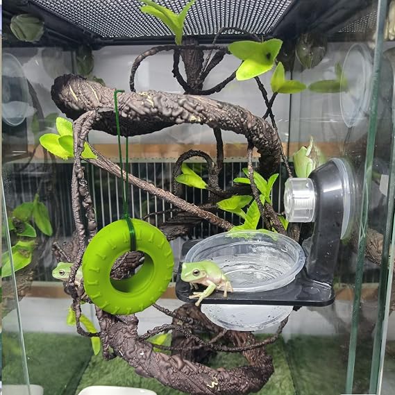 JSLZF Tree Frog Habitat with Terrarium Decor, Frog Climbing Swing and Suction Cup Hook, Green Rubber Climbing Toy