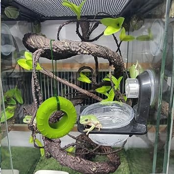 JSLZF Tree Frog Habitat with Terrarium Decor, Frog Climbing Swing and Suction Cup Hook, Green Rubber Climbing Toy