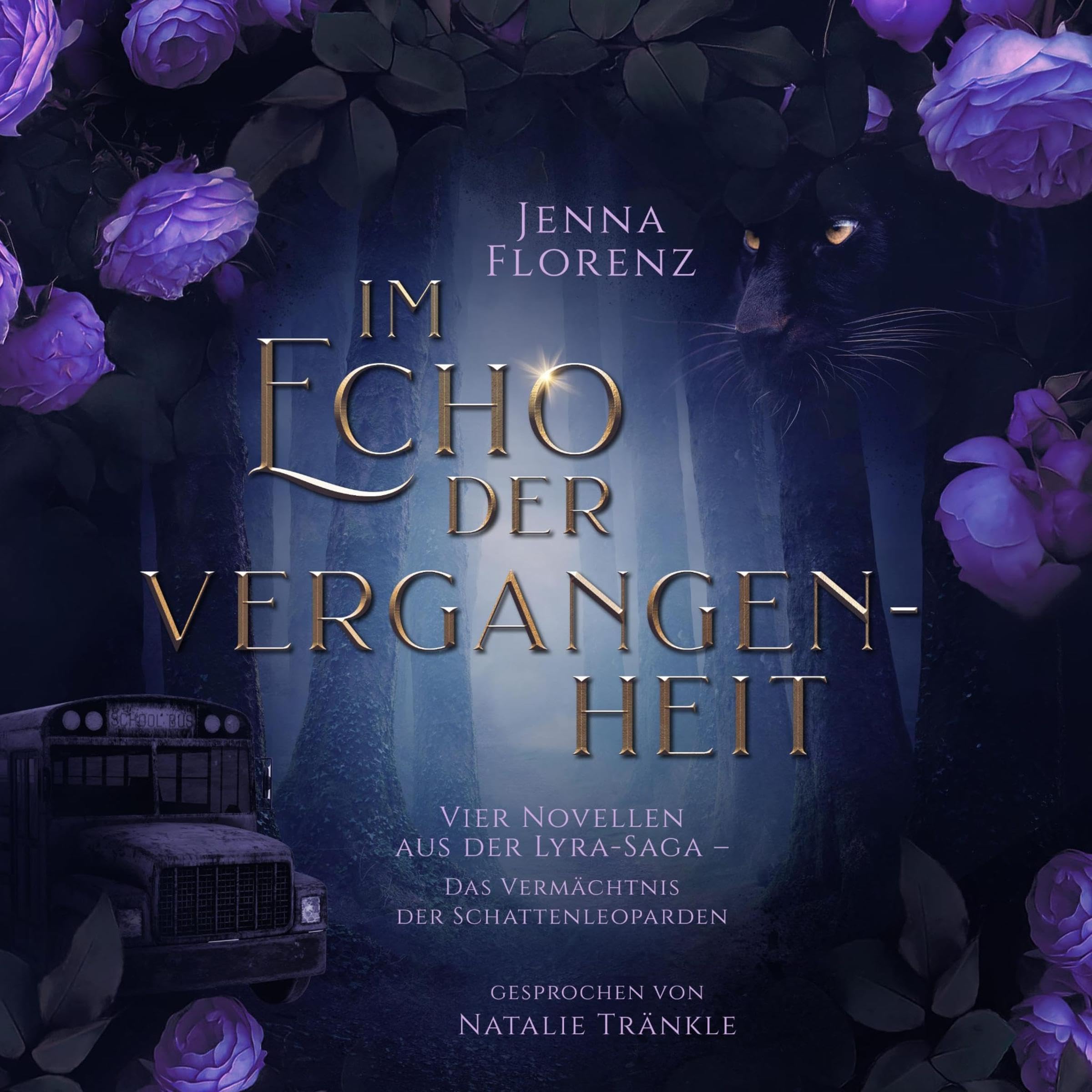 Cover art for Im Echo der Vergangenheit