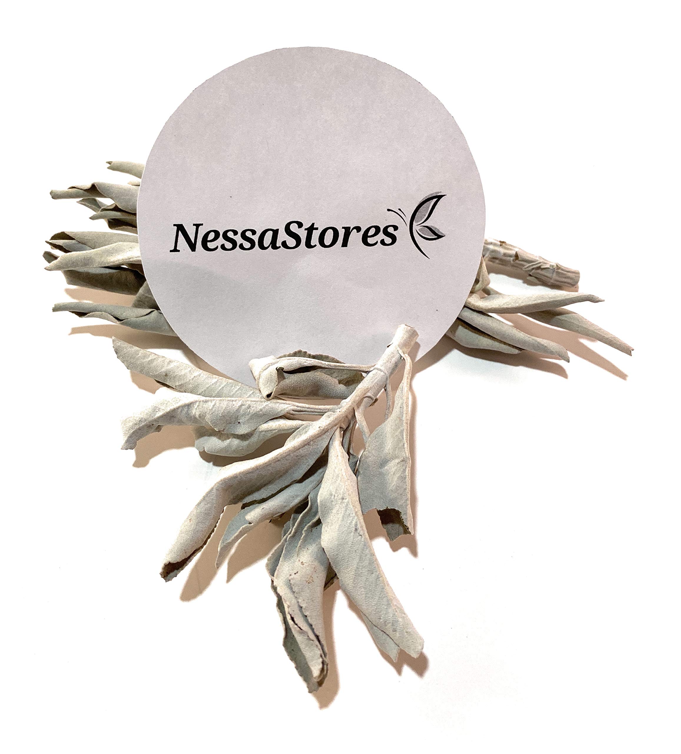 NessaStores 4 oz, White Sage, 4 oz | 1/4 lb - Image 2