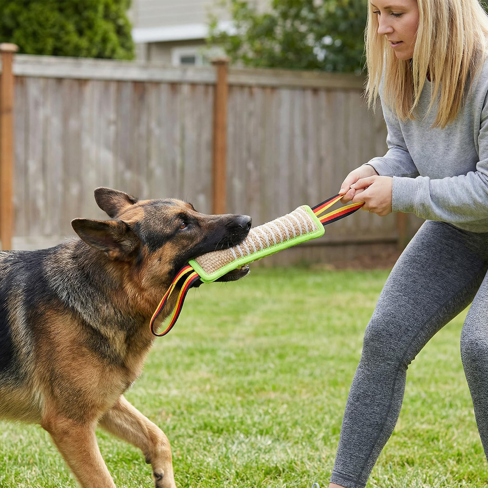 Giocattolo per Cani Manicotto 30cm 2 Maniglie Addestramento Gioco Morbido Cuscino Morso Interattivo Verde