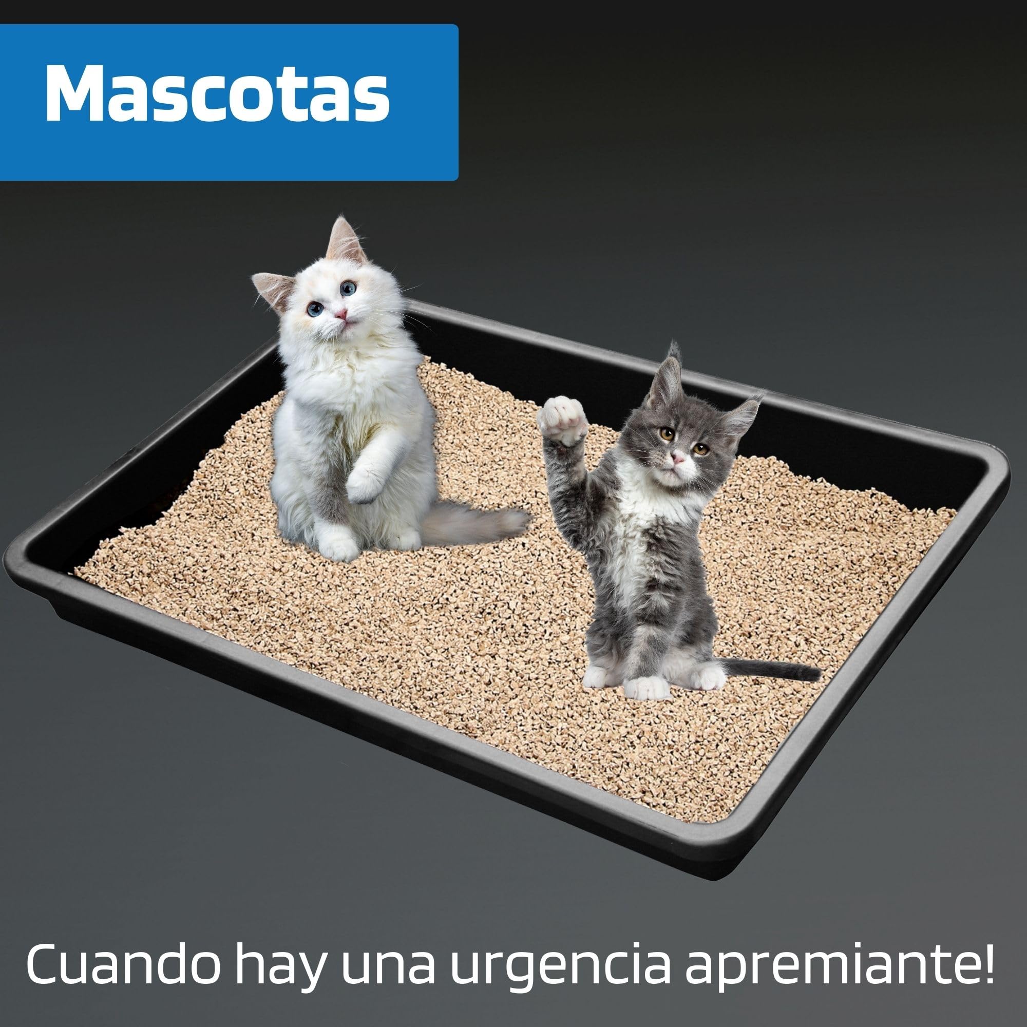 SW-Stahl 07377L Bandeja de goteo universal XXL I 88 x 60 x 10cm bandeja de plástico grande I 42 litros de capacidad