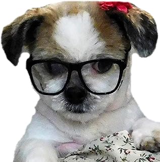 Style Vault G015 Dog Pet Costume Clear Lens 80s Retro Glasses for Small Dogs up to 15lbs (Black-Clear Lens)