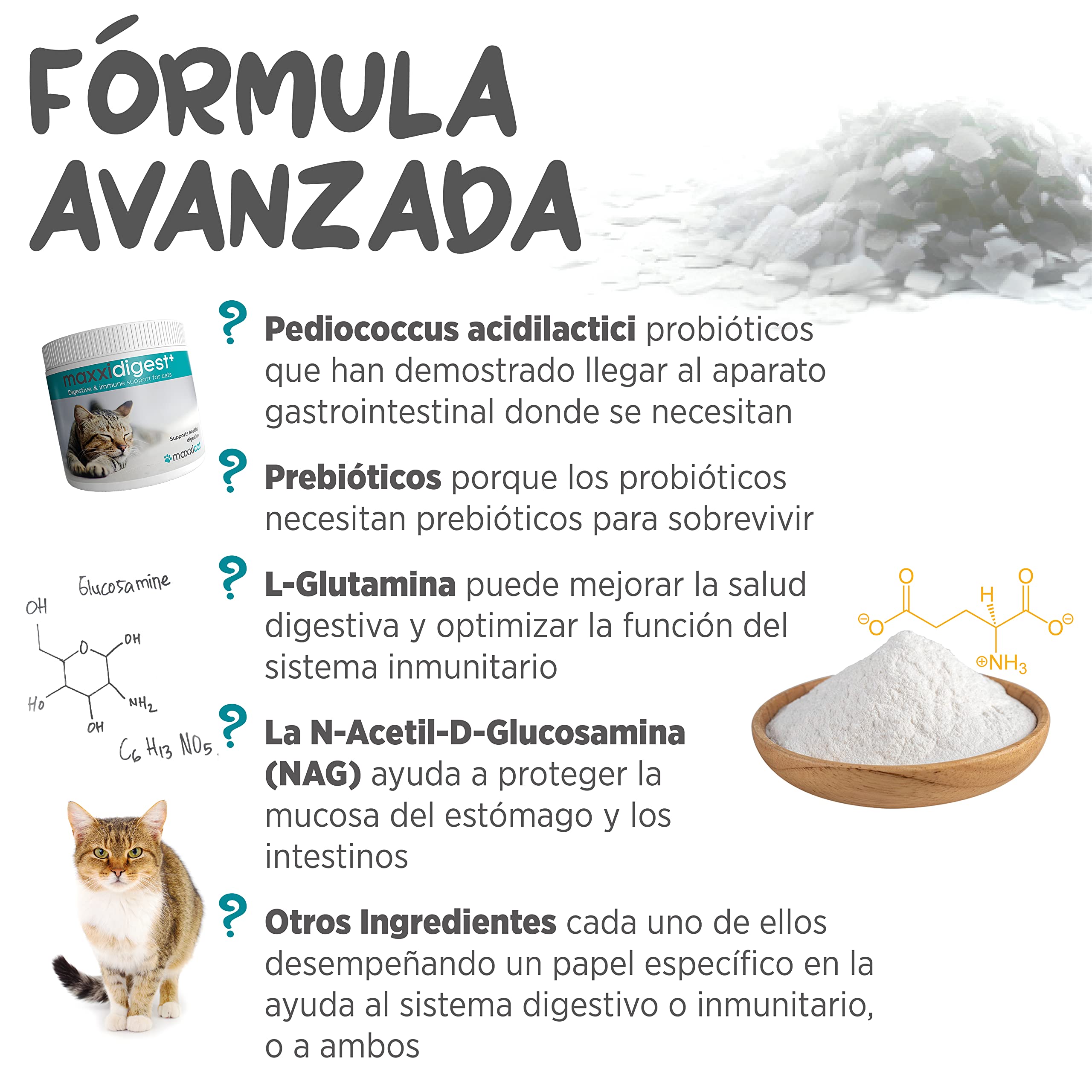 maxxipaws maxxidigest+ Prebióticos y Probióticos para Gatos - Soporte Digestivo e Inmunológico - Suplemento en Polvo, 200g