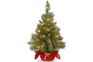 National Tree Company Pre-Lit Artificial Miniature Christmas Tree