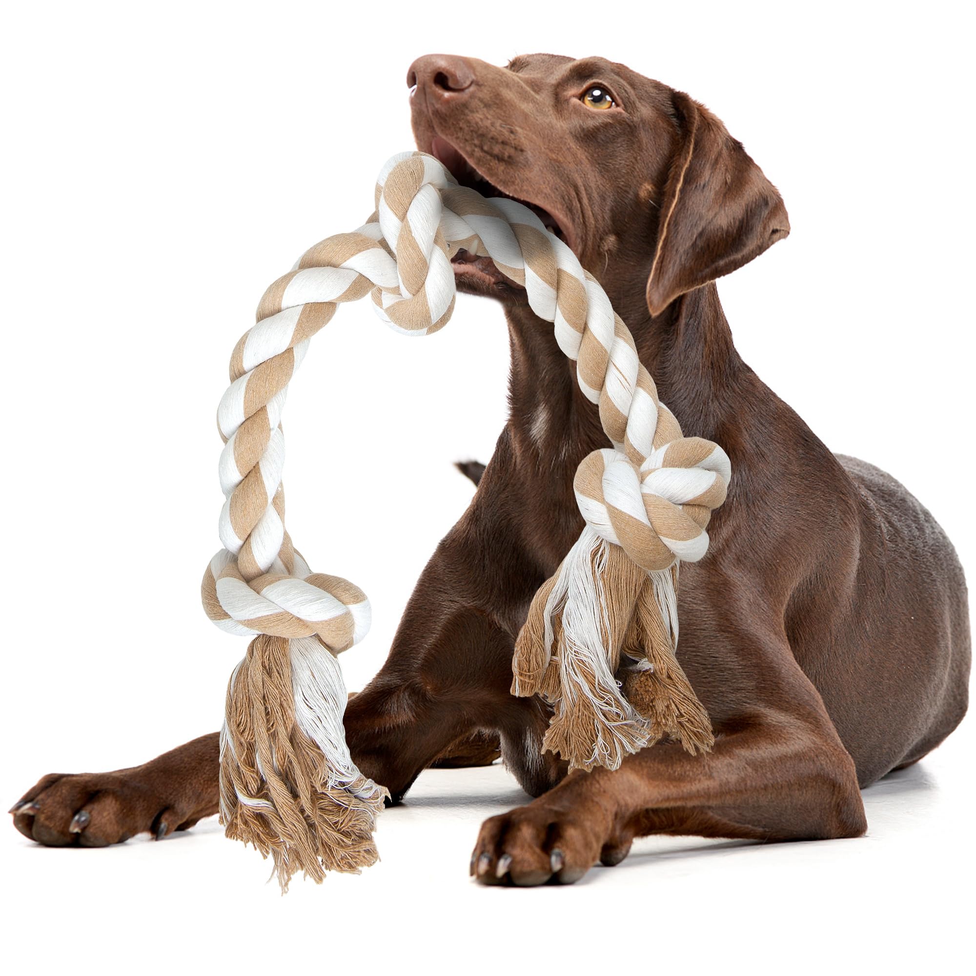 Fida Dog Rope Toys for Medium Large Dogs, Chew Toys for Aggressive Chewers