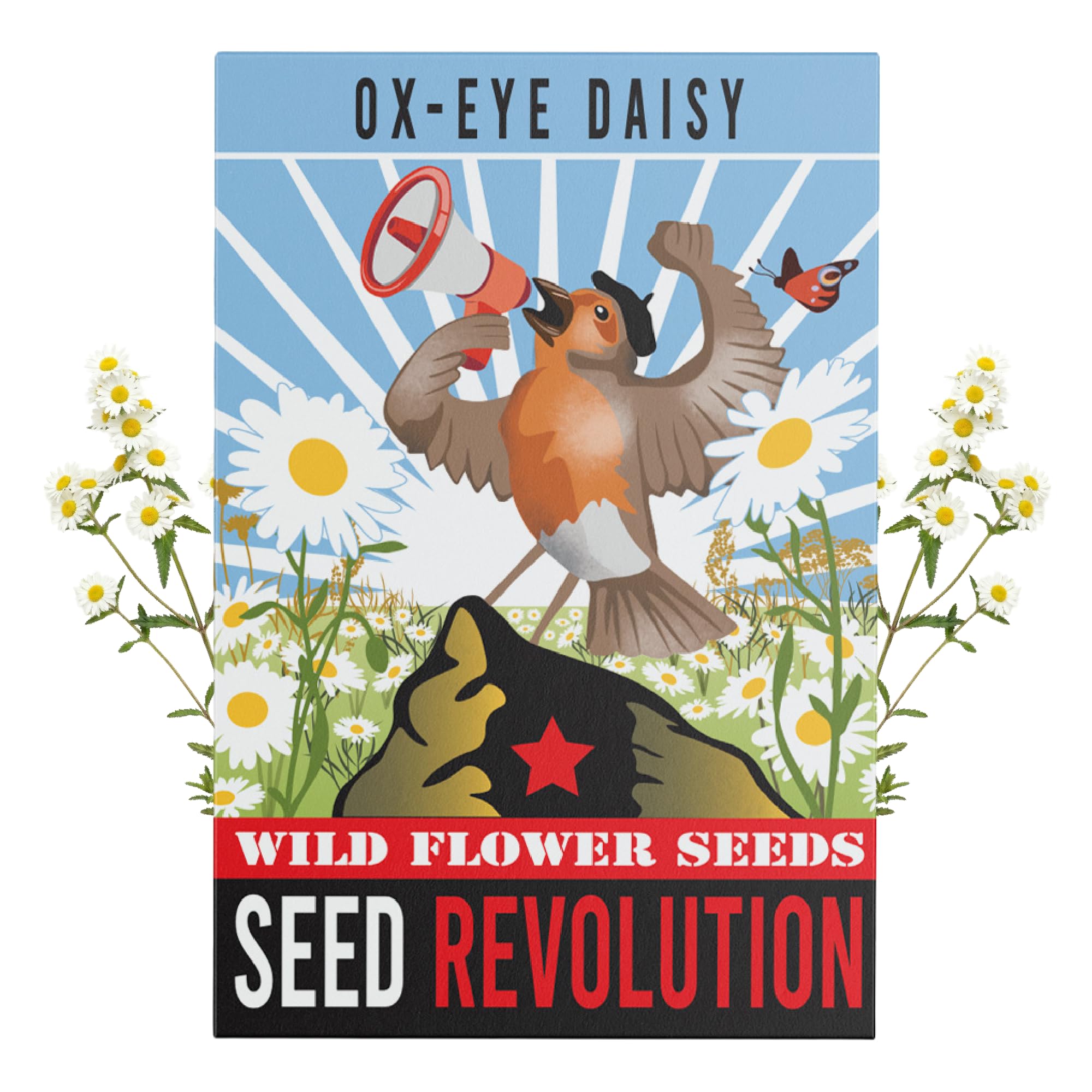 Seed Revolution - Oxeye Daisy Native Wildflower Seeds, 12g