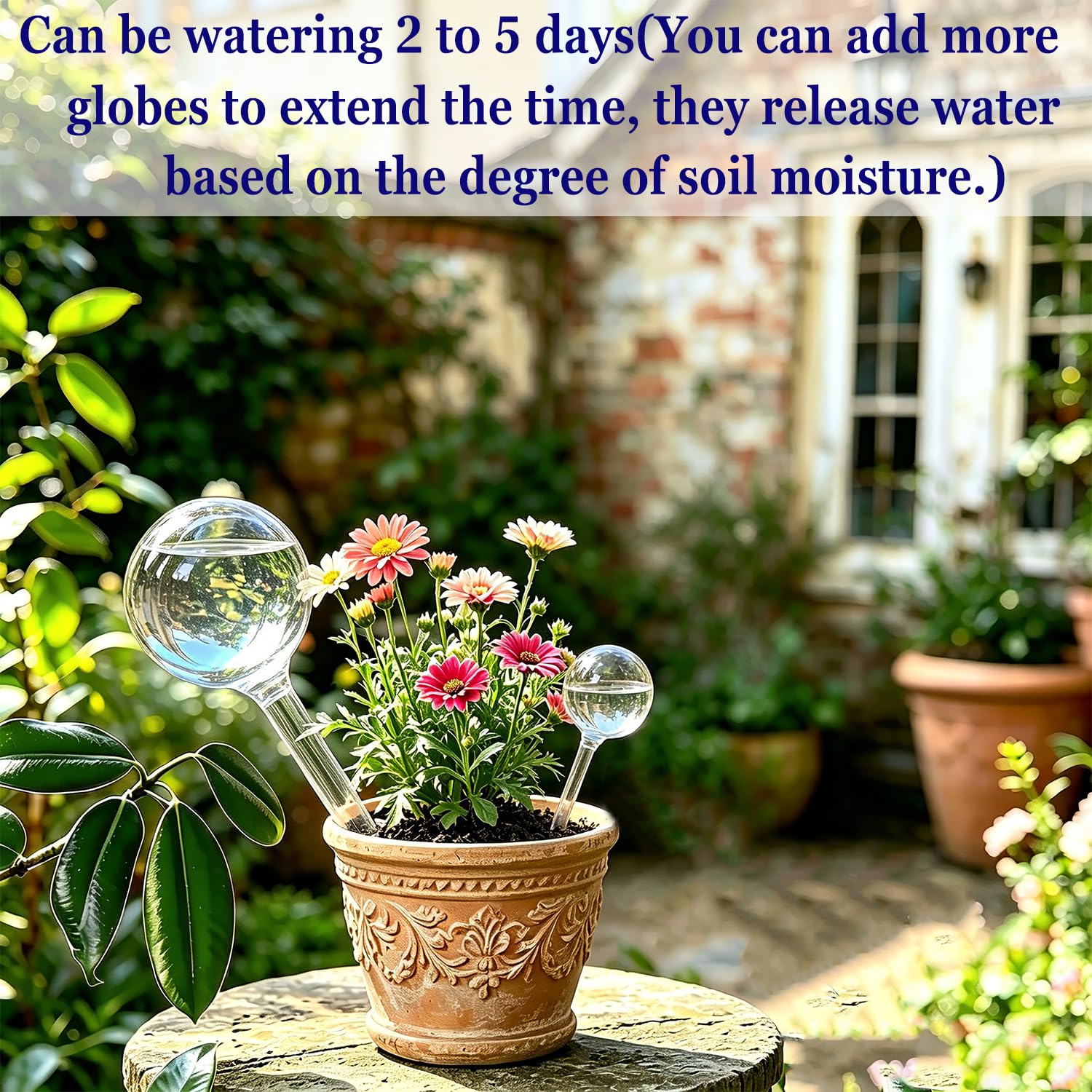 Kingbow 10 globi di irrigazione automatica per piante, in plastica trasparente, dispositivi di irrigazione automatica per fiori, dispositivo di irrigazione automatica da giardino, per piante da