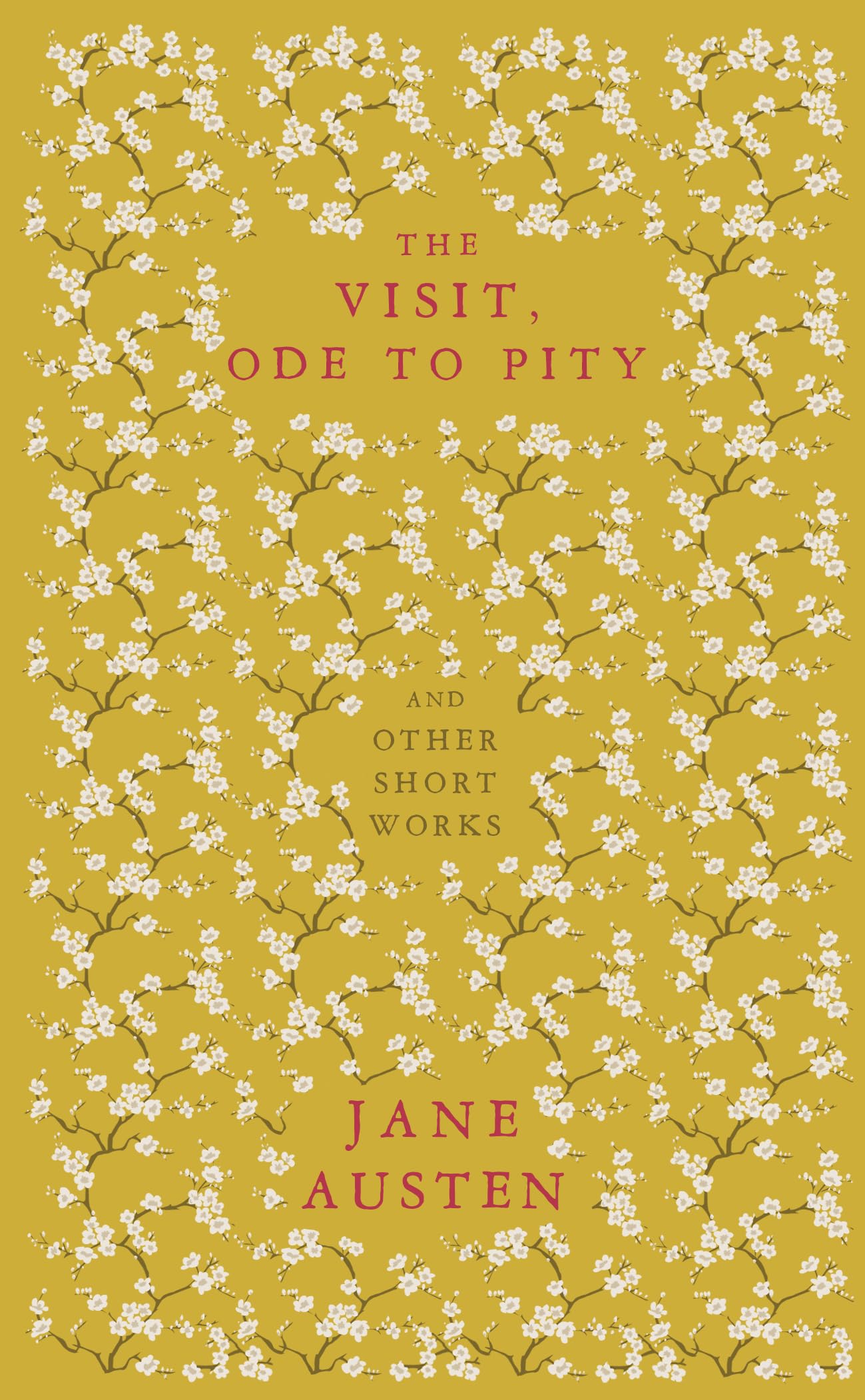 The Visit Ode to Pity and Other Short Works by Jane Austen PAPERBACK