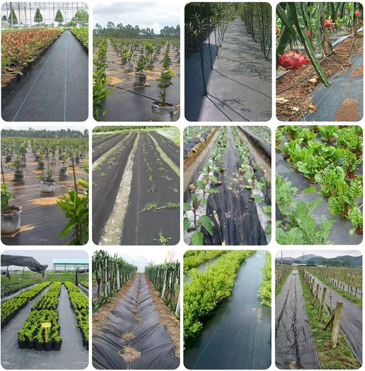 PP Woven Weed Barrier Landscape Fabric, High Permeability Ground Cover Weed Cloth for Commercial Greenhouse, Yard, Garden Barrier/Black / 0.4X200m