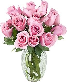 KaBloom Flowers - Bouquet of 12 Fresh Pink Roses (Farm-Fresh, Long-Stem)...