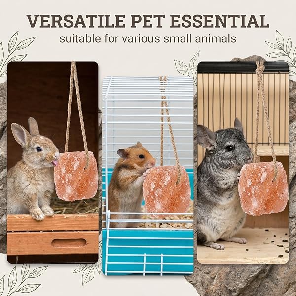 Lot de 2 Pierres à Lécher en Sel de l'Himalaya Naturel avec Corde - Complément Minéral Essentiel pour Chevaux, Chèvres et Bétail - Bloc de Sel Pur pour Santé et Bien-être Animal - 3