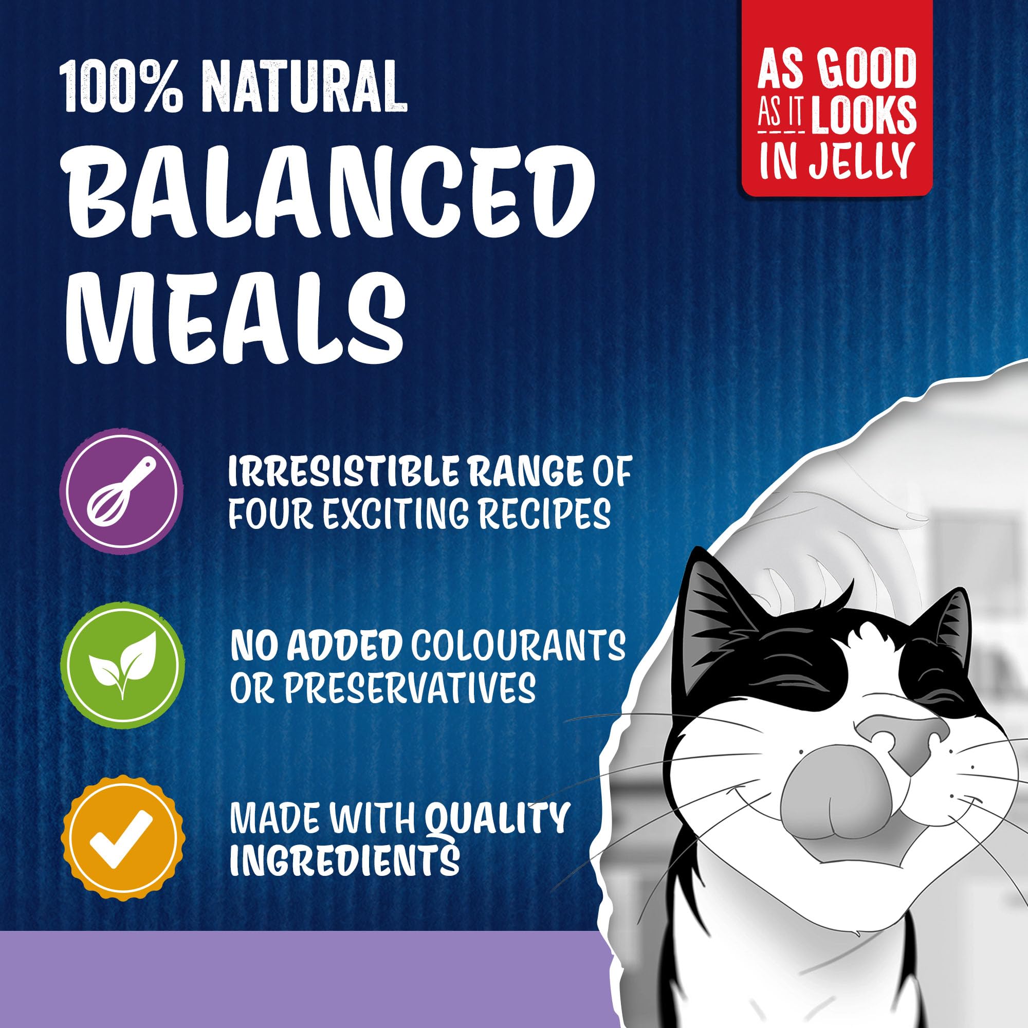 FELIX As Good As it Looks Favourites Selection in Jelly Wet Cat Food 120x85g - 2