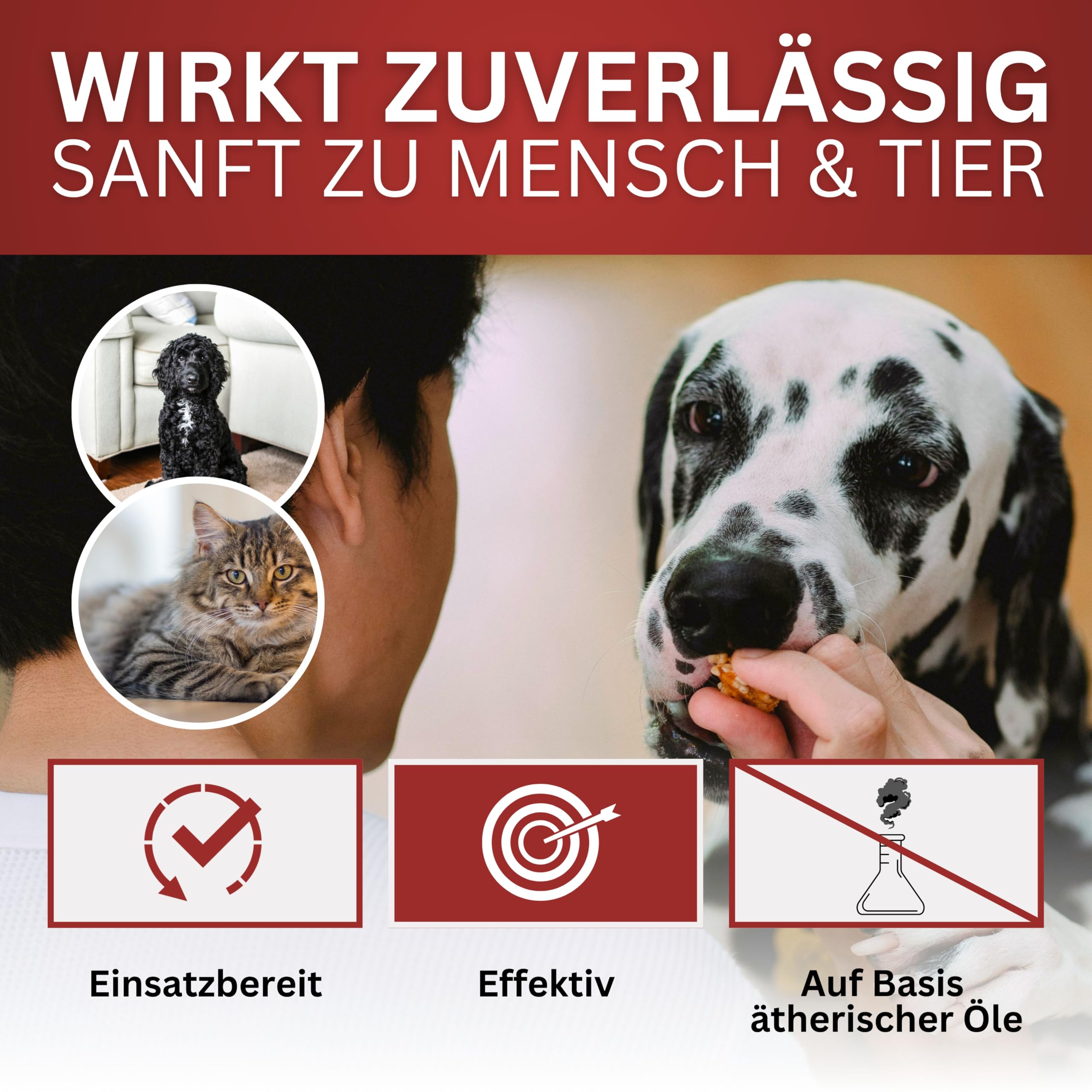 BIOFORMEL Mäuse Ex Spray Plus 5L - Mäuseabwehr & Rattenabwehr - Mäuse vertreiben Abwehrmittel Ratten - Mäusebekämpfung Indoor & Outdoor - Anti Ratten - Spray Mausspray - Wirkstoff Geraniol