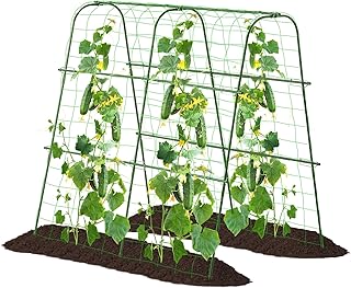 12 Unique Trellis Ideas to Add Character to Your Garden Space 129 Garden Cucumber Trellis for Climbing Plants Outdoor, 48x48inch U-Shape A...